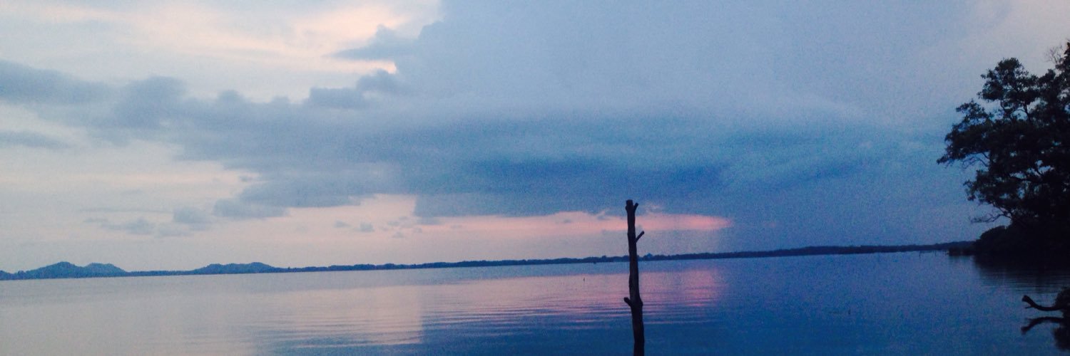 SD_Tuckey's profile banner image