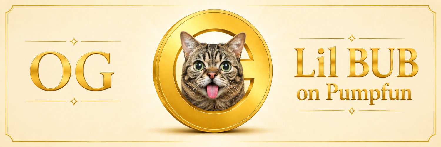 lilbub_cat's profile banner image