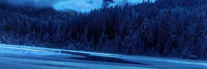 can_ttameus's profile banner image