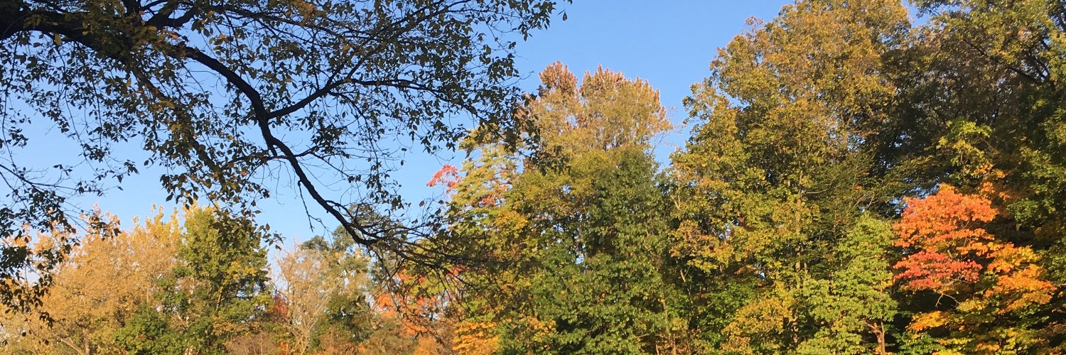 michellenader's profile banner image