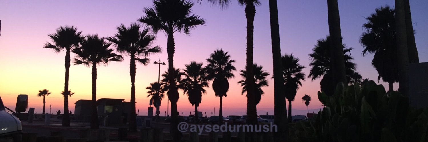 AyseDurmush's profile banner image
