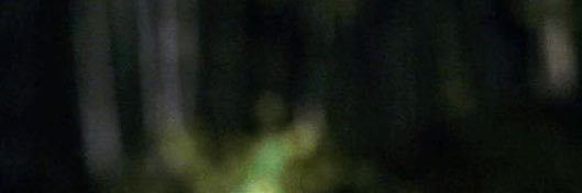 Basilfluffbloom's profile banner image