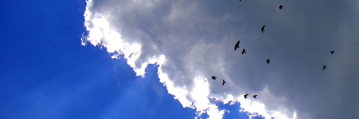 edbatista's profile banner image
