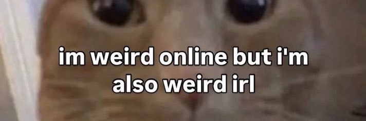 Spice_zilla's profile banner image