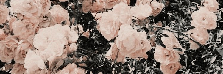 prettygrrlteam's profile banner image