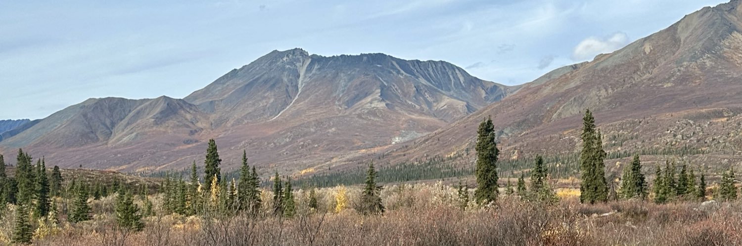 BtheNorth banner