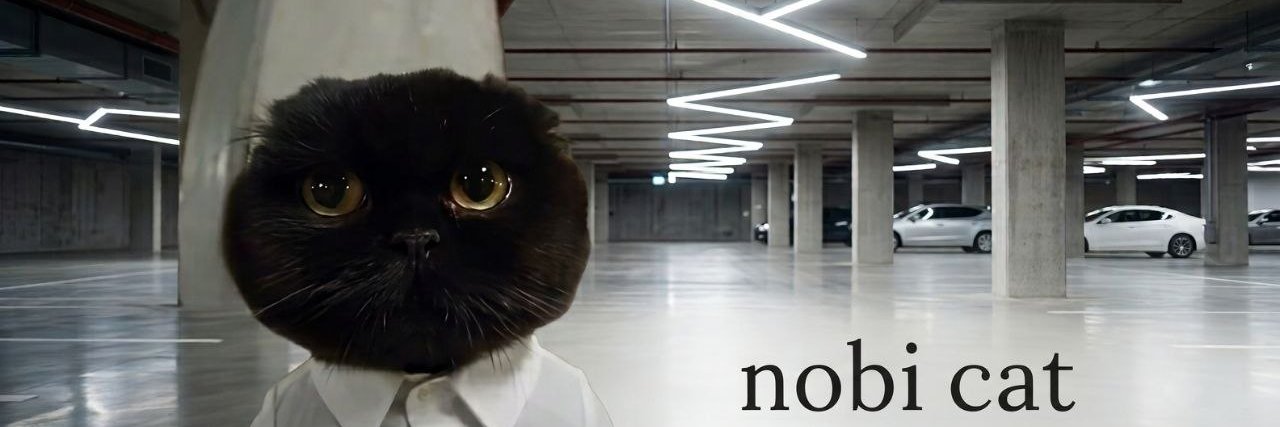 NobiCatPons's profile banner image
