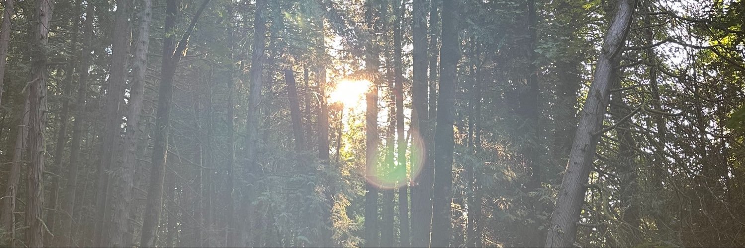 istillwakeup4's profile banner image
