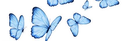 k__harapeko's profile banner image