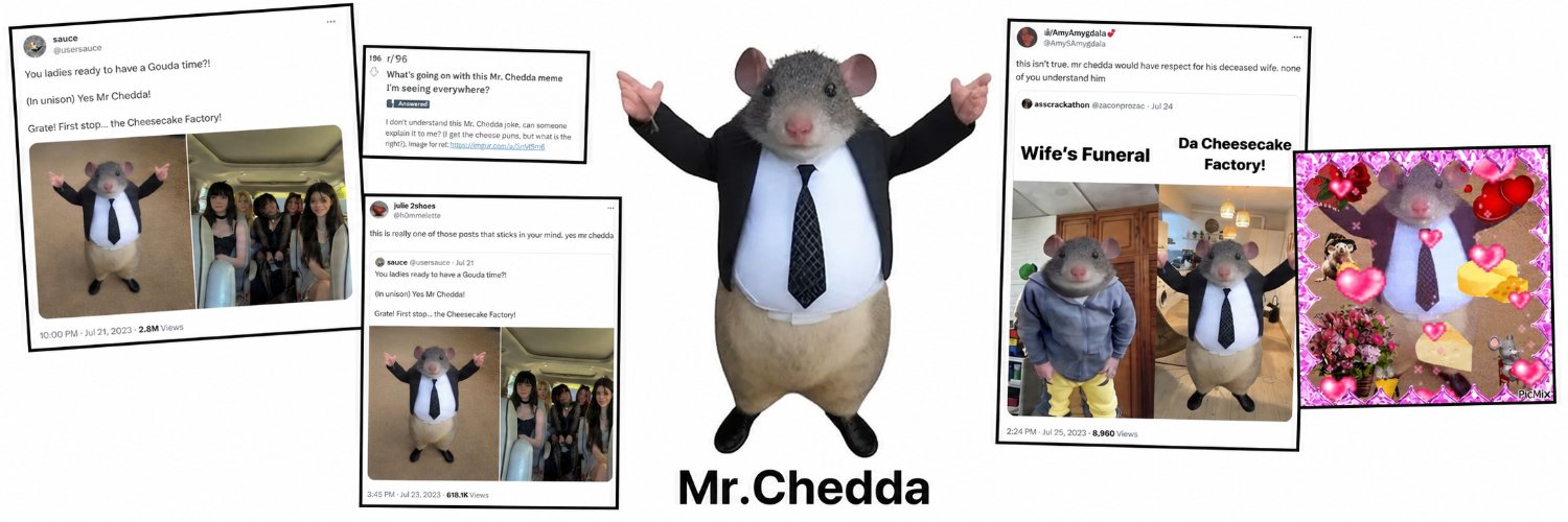 MrChedda_Token's profile banner image