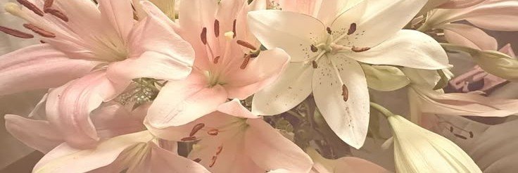 IsMileidyth's profile banner image