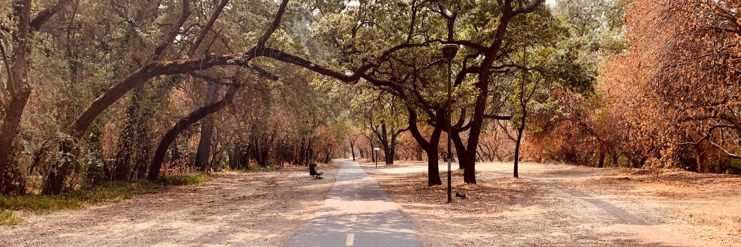 Brian L. Clark banner