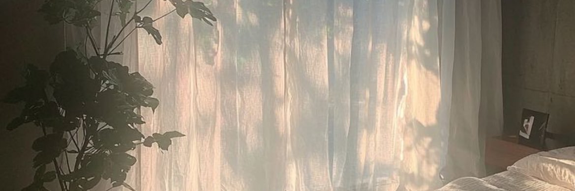 Ivy_474's profile banner image