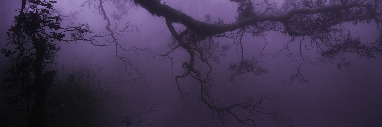 emmacore32's profile banner image