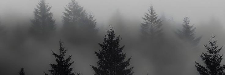 cherryllbub's profile banner image