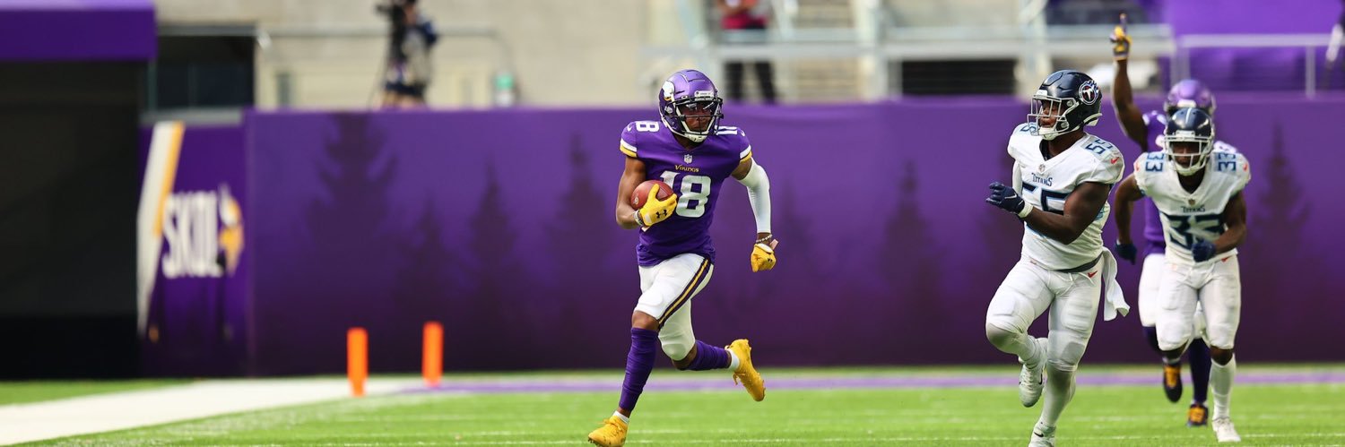 Skol Vikes banner