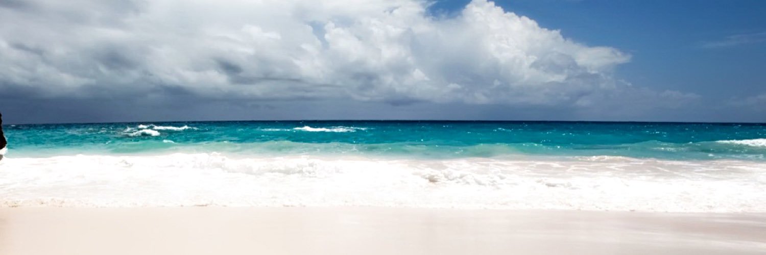 zenithnevis's profile banner image