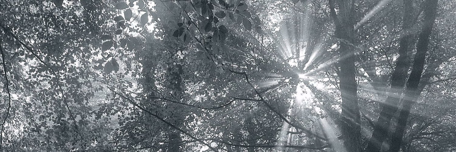 ItaVonK's profile banner image