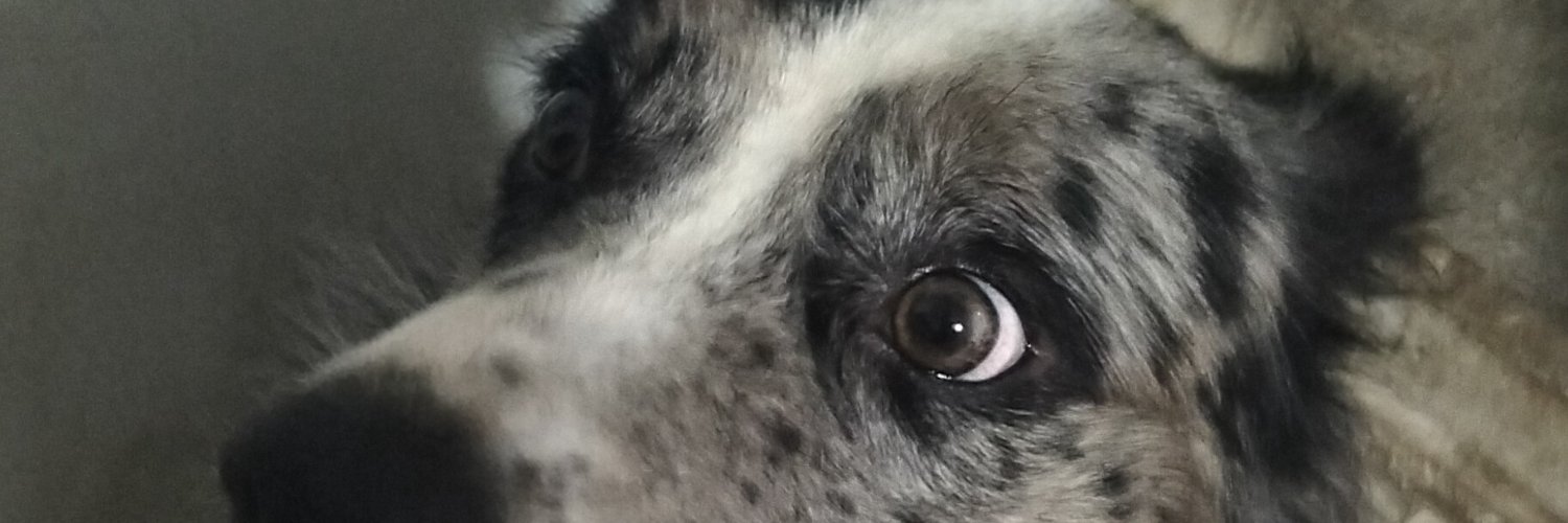 fheadans's profile banner image