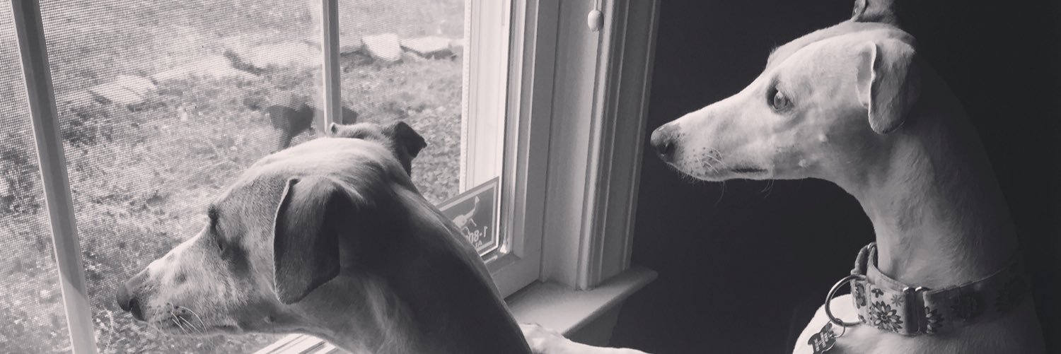 bwellchiro's profile banner image