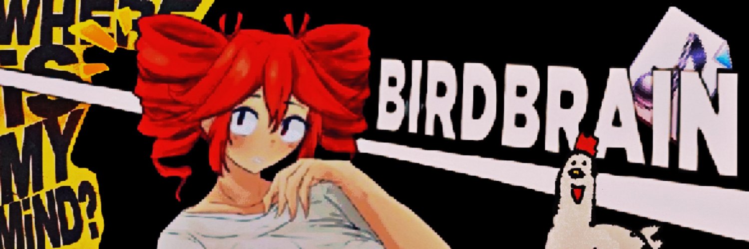 BirdNeuron's profile banner image