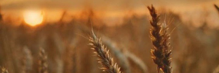 Cleal888's profile banner image
