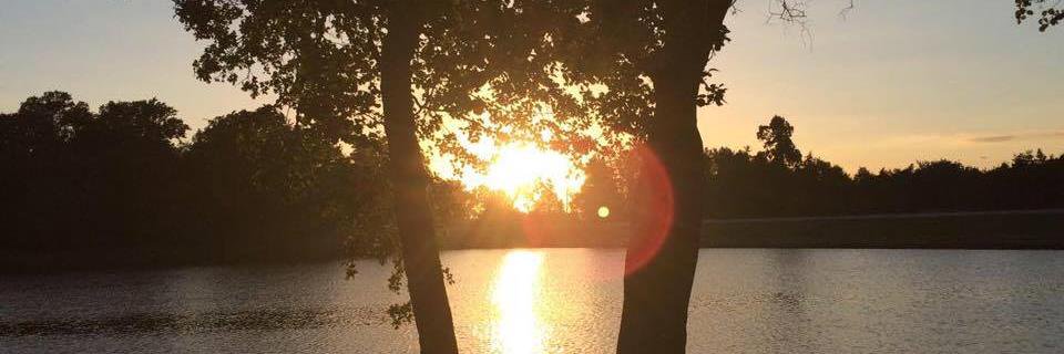 LoftyGiraffe's profile banner image