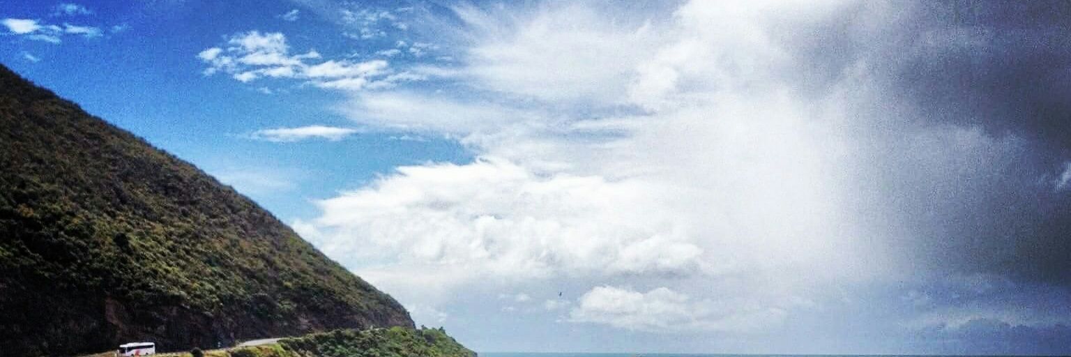 keeforelli's profile banner image