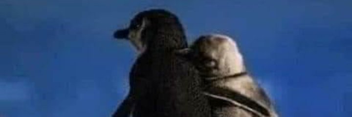 MarrParra's profile banner image