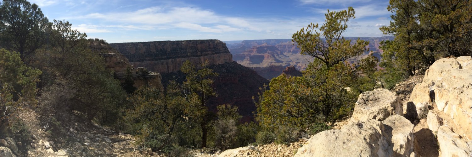Trepp515's profile banner image