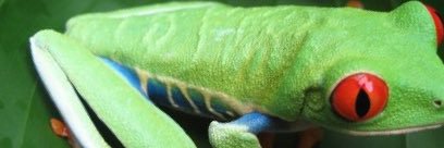 margofs's profile banner image