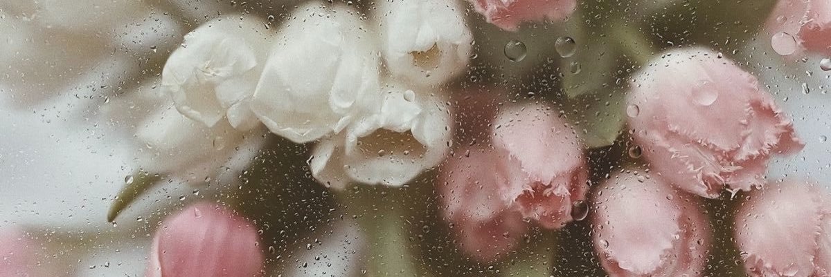 HayHay_Rae69's profile banner image