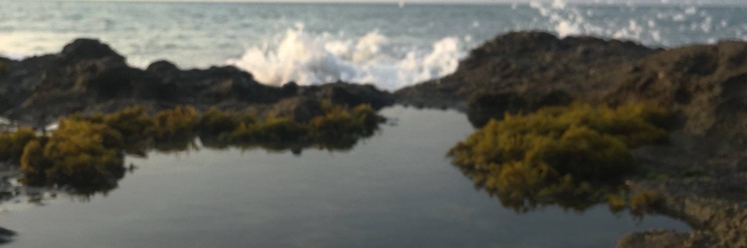 mar__ale's profile banner image