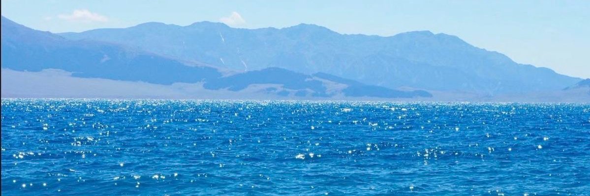 caldyrus's profile banner image