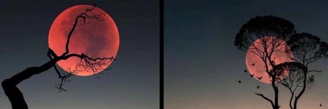 NRY333's profile banner image