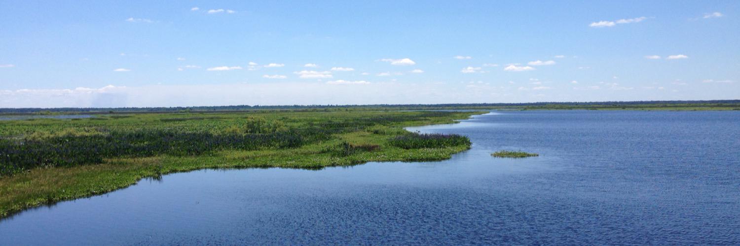 Caitlin Orsini banner