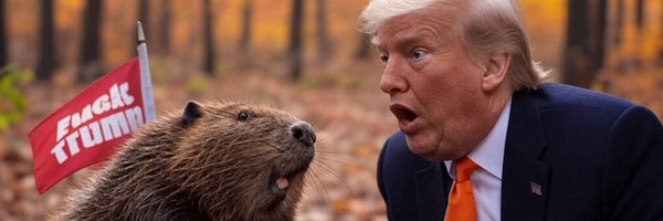 markbratrud Profile Banner