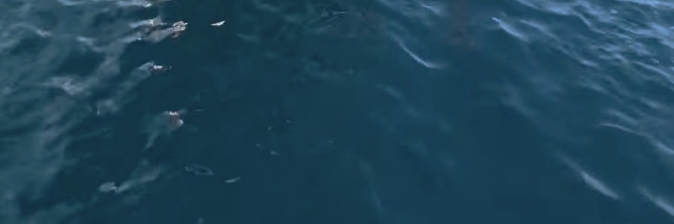 onuryildirm's profile banner image