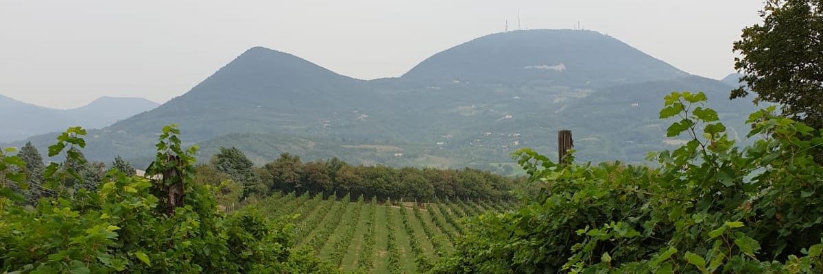 Pirjo_S's profile banner image