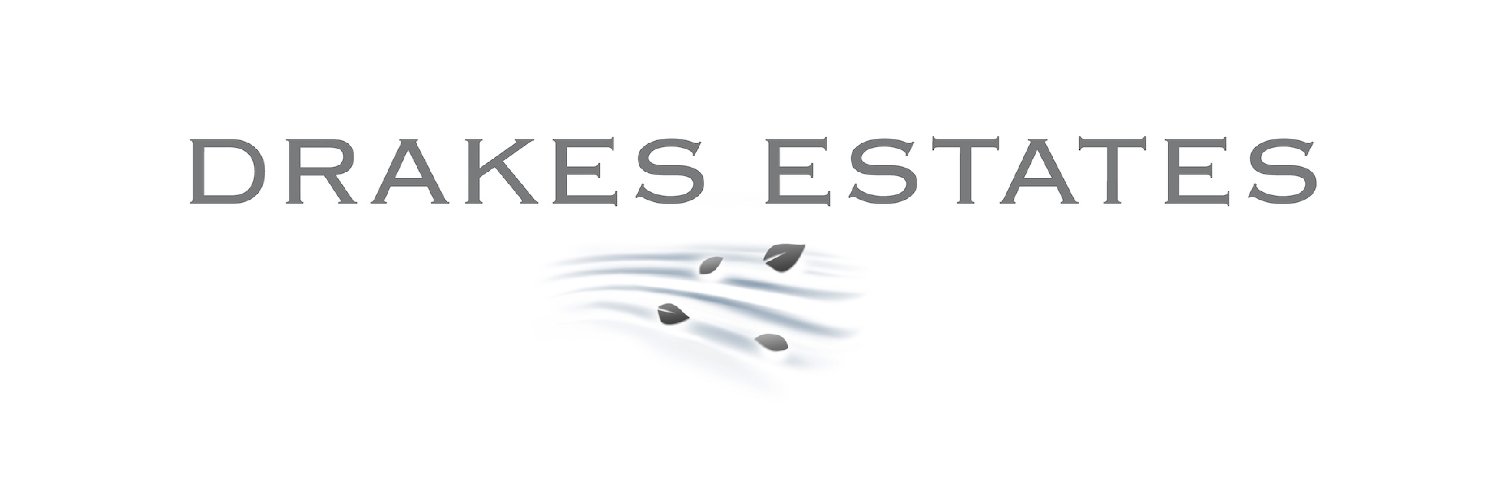 drakesestatesla's profile banner image