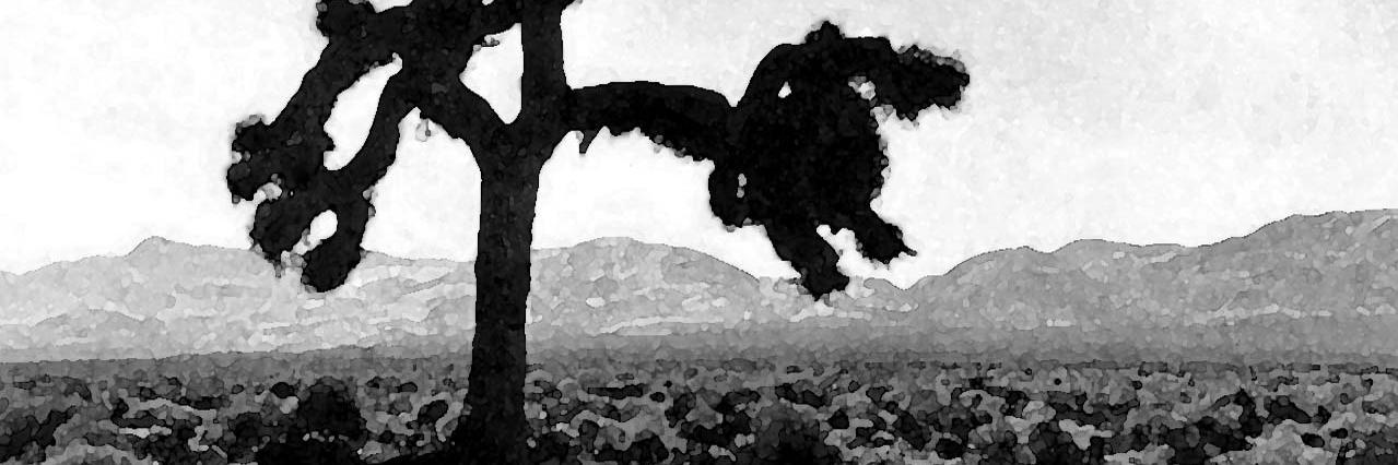 maxigaleppi's profile banner image