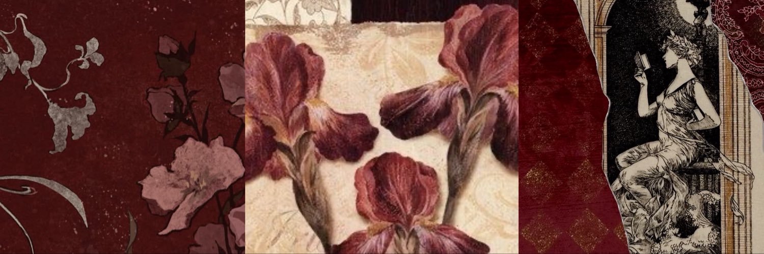 silkinsuture's profile banner image