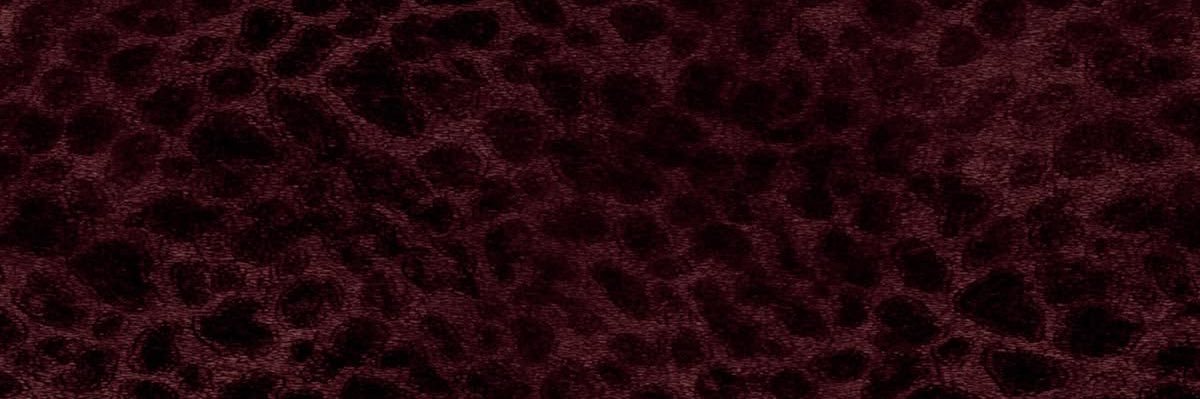 hno12x's profile banner image