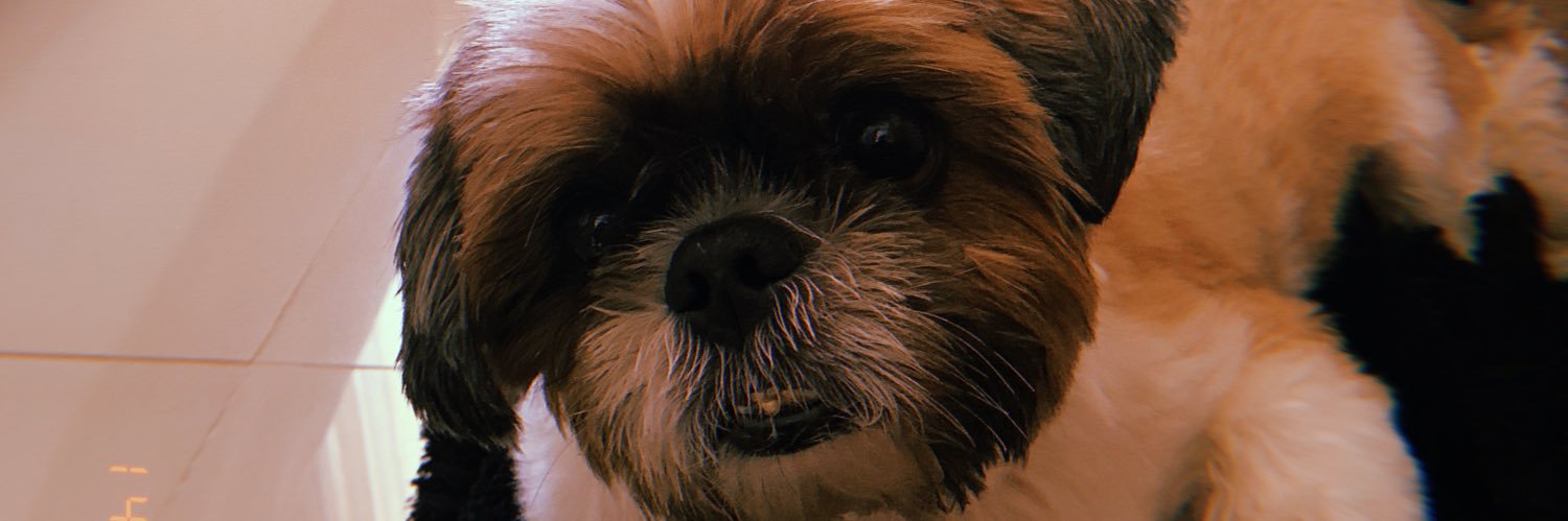 annac_prates's profile banner image
