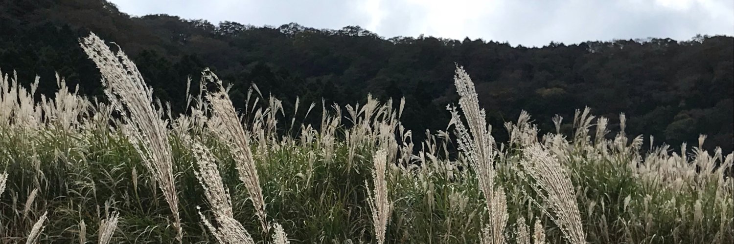 patchijapan's profile banner image