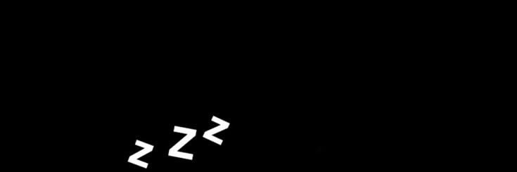 shccdea9c's profile banner image