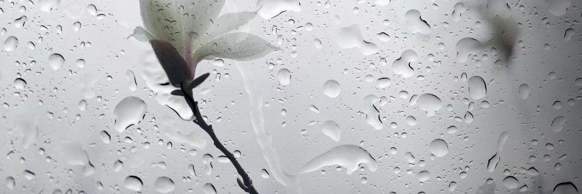 iuhva's profile banner image