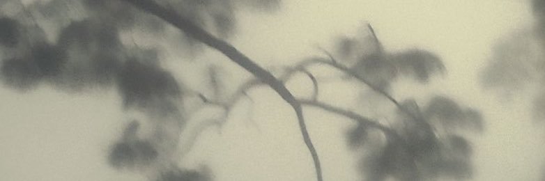 MayXDwi's profile banner image