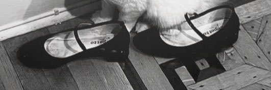 catswitchy's profile banner image