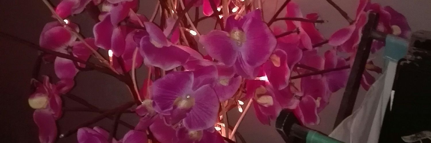 PrabashSubrayan's profile banner image